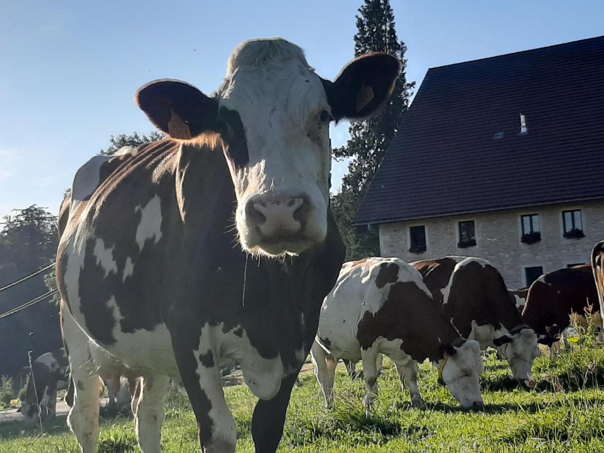 Gite Chez La So ! Avec Visite A La Ferme Arcon  Bagian luar foto