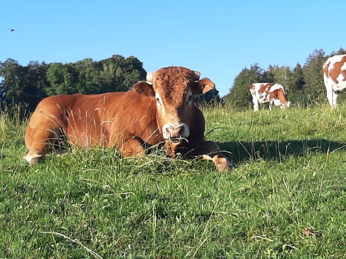 Gite Chez La So ! Avec Visite A La Ferme Arcon  Bagian luar foto
